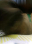 20080514002318.jpg