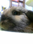 20080514002613.jpg