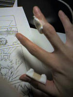 そのわりにタイソウなものでない・・