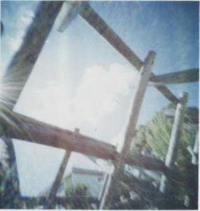 07081202