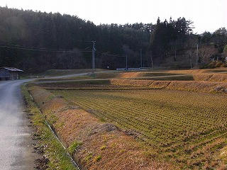 satoyama.jpg