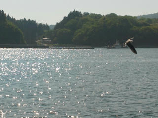 R0014860.jpg