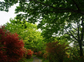 R0015083.jpg