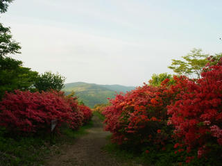R0015129.jpg