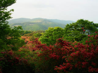 R0015138.jpg