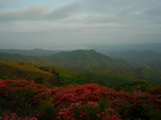 R0015163.jpg