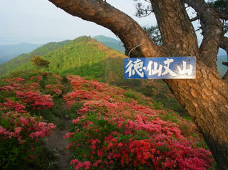 R0015167.jpg