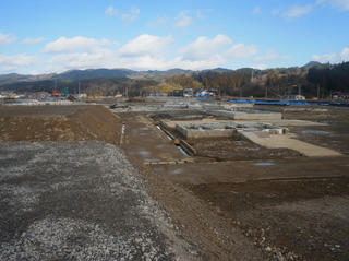 R0018684.jpg