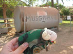 musgrave04.jpg