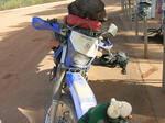 musgrave05.jpg