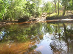 creek01.jpg