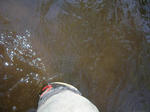 creek03.jpg