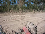 bulldust01.jpg
