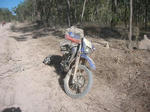 bulldust02.jpg