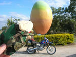 big_mango01.jpg