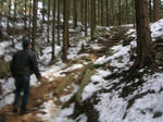 takeda05.JPG