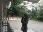 takaku02.JPG