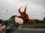 f0f86516.JPG