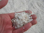 shellbeach02.JPG