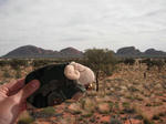 olgas01.JPG
