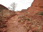 olgas03.JPG