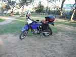hay01.JPG