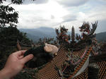 odoutohitsuji01.JPG