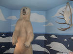 whitebear.jpg
