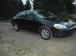 impala01.jpg