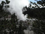 yellowstone016.jpg