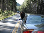 yellowstone022.jpg