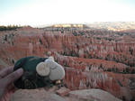 bryce01.jpg