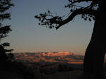 bryce03.jpg