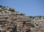 southrim15.jpg