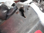 bearattack07.jpg