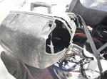 bearattack08.jpg