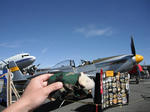 p51a.jpg