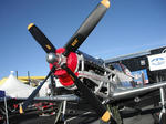 p51b.jpg