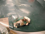 DSCF2140.jpg