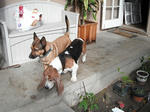 DSCF2200.jpg