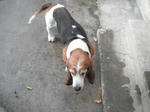DSCF2202.jpg