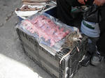 DSCF2476.jpg