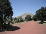 DSCF2544.jpg