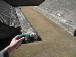 DSCF3026.jpg