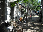 DSCF3301.jpg