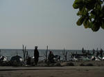 DSCF3272.jpg
