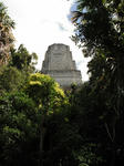 DSCF3467.jpg