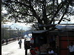 DSCF3568.jpg