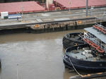 DSCF3732.jpg