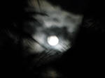 DSCF3837.jpg